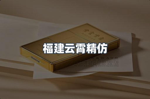 福建云霄精仿